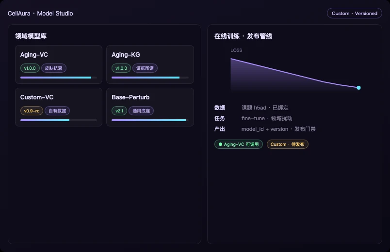 模型定制