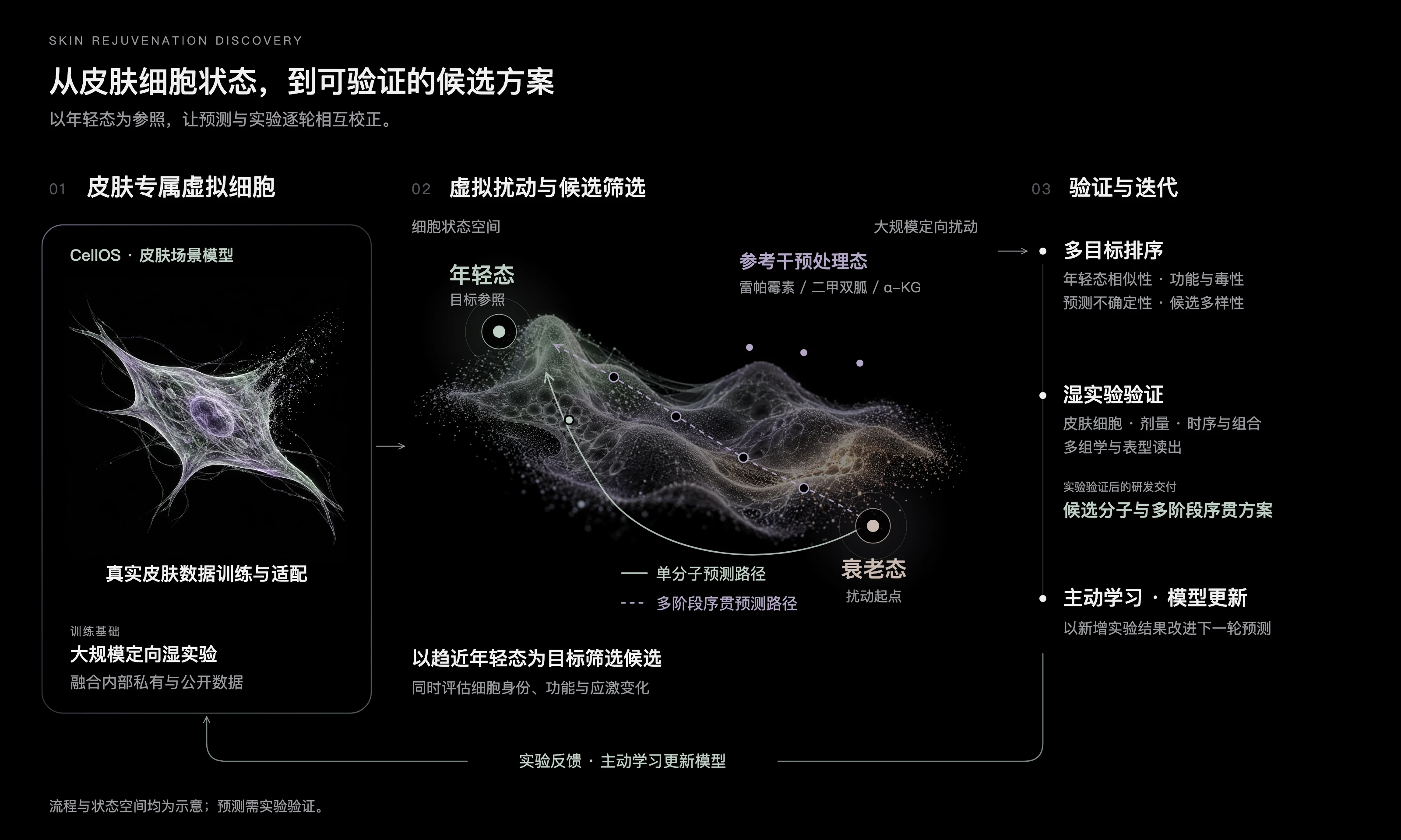 核心架构